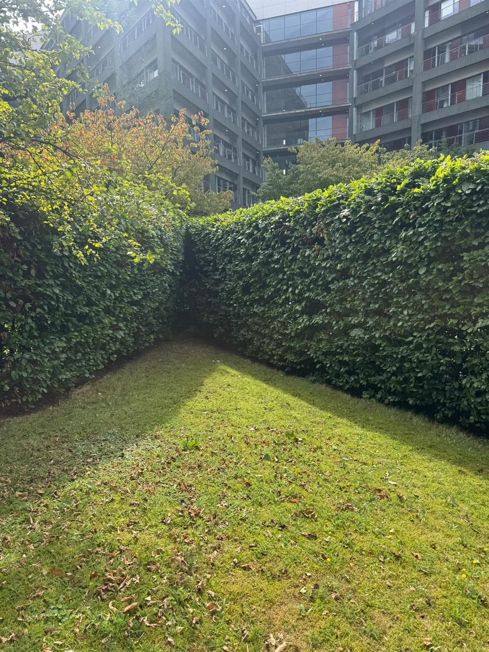 Frisch geschnittene Hecke und gemähter Rasen an einer Wohnanlage